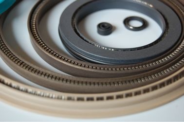 Spring Energized PTFE Seal ,Variseal, PTFE seal ,PTFE gasket ,PTFE ring
