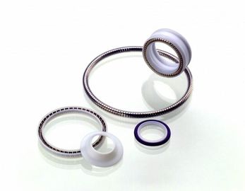 PTFE Conta, Bahar Energized Teflon Seal, Teflon Döner Seal, PTFE Statik Seal