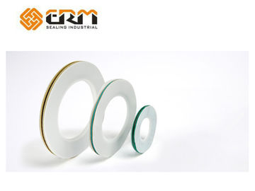 Flanş PTFE zarf contalar
